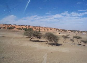 Dorp in een zandwoestijn op de weg naar Rosso in het Zuiden van Mauritanië