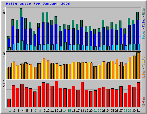 Daily usage for January 2006