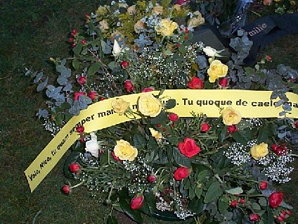 VALE NICO,MANES QUAM SEMPER NOBISCUM, TU QUOQUE DE CAELO MANE CUM FRATRIBUS TUIS.