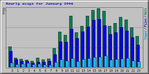 Hourly usage for January 2006