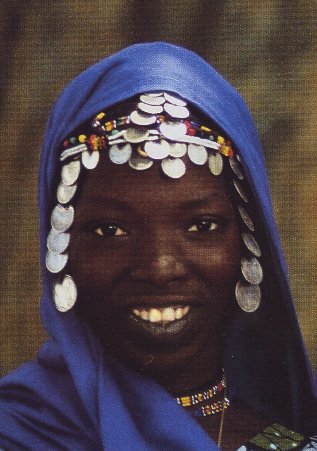 de vlag van Senegal